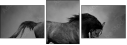 64938359
