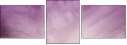 65457825