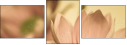 65771321