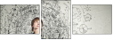 65806148