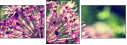 65874954