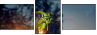65958619