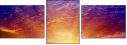 66128610