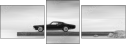 66242450