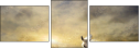 66444580