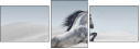 67039341