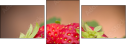 67189229