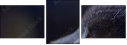 67261784
