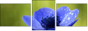 6756687