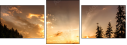 67616317