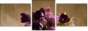 67654847