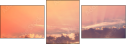 67822236