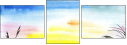 68035344