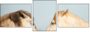 68105257