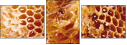 68182564