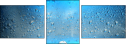 68296210