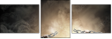 68459812