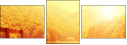 68616256