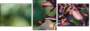68702565