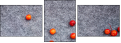 68721150