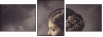68741599