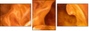 68781470