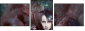 68796734