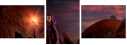 68817583