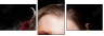 68860833