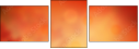 68917017