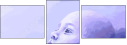 68948444