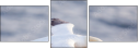 68956186