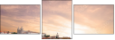 69126099
