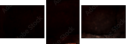 69305872