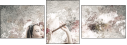 69364325