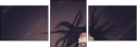 69419476