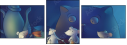69445224