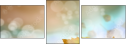 69448730