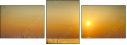 69455615