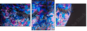 69457575