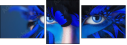 69641172