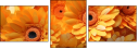 701850992