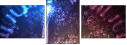 70252580