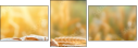 704903760