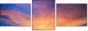 70545313