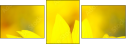70553705