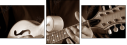 70882900