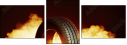 71231906