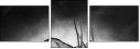 71412657
