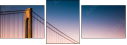 71420555